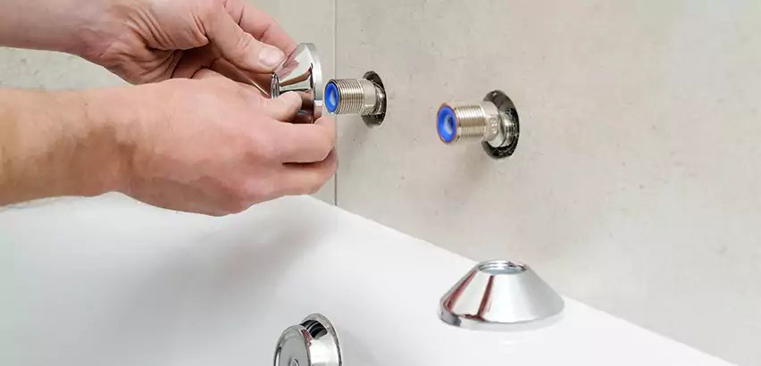 Bathtub Faucet Diverter Replacement in Griffin