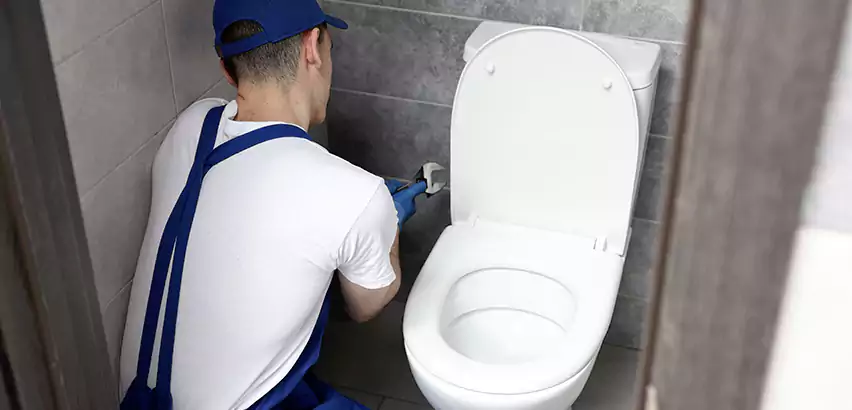 Toilet Lid Replacement in Griffin